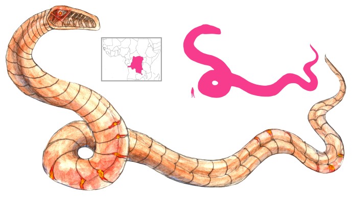 I have snake aids :) on Tumblr